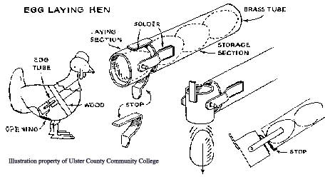 Diagram of Egg Laying Hen