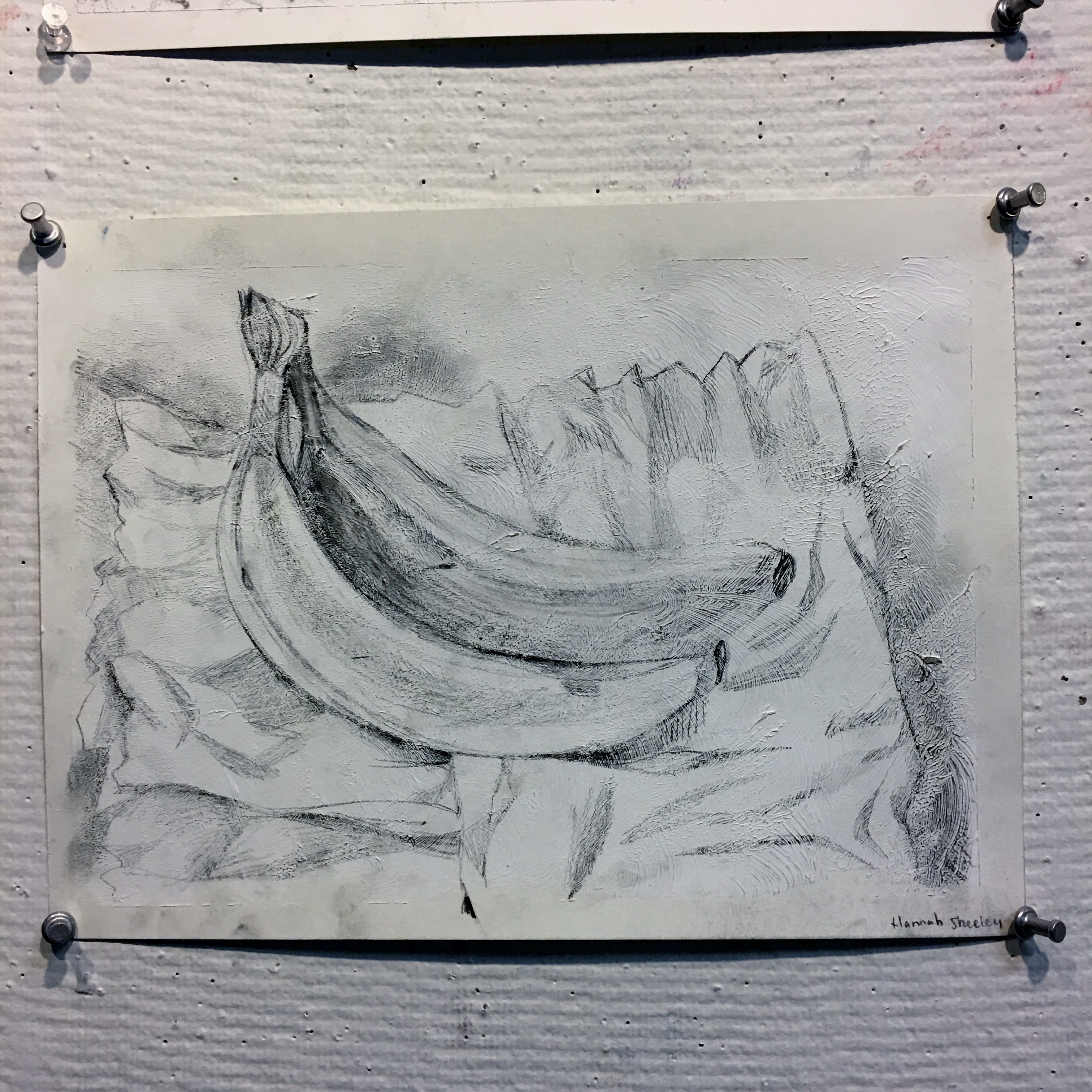 Black and White Drawing of Fruit