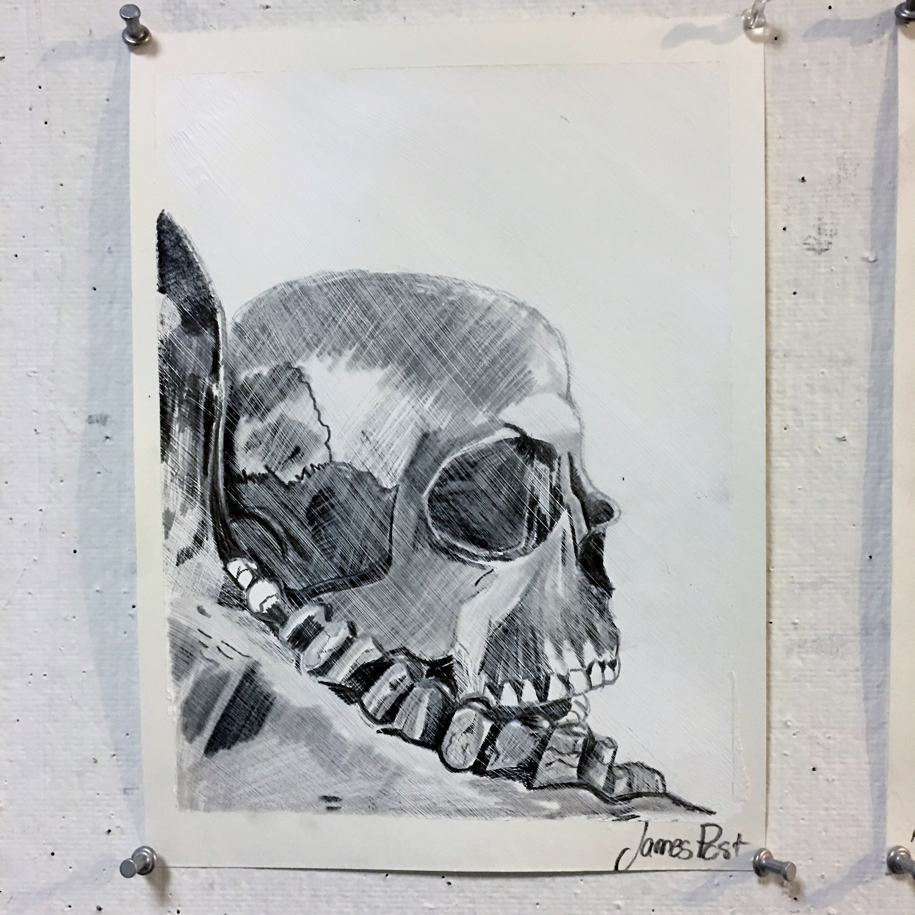 Textured pencil drawing of skull still life