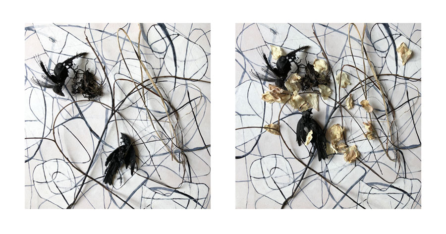 two images of abstract things made up of lines andnatural objects, including bird carcasses